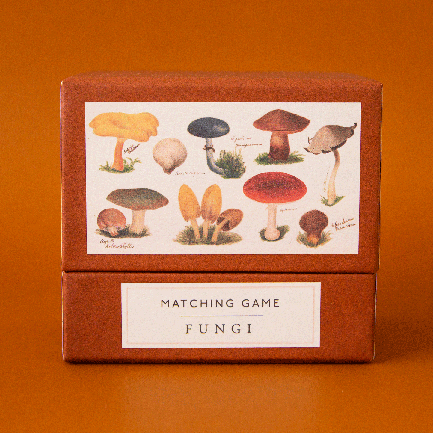 Matching Game | Fungi