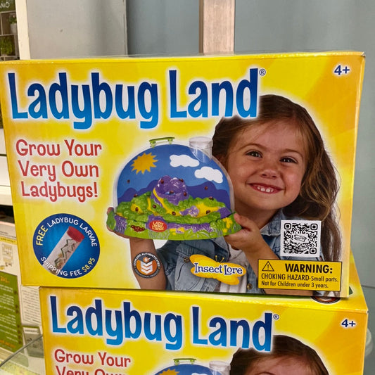 Ladybug Land
